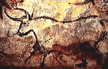 Cave painting of an Aurochs.